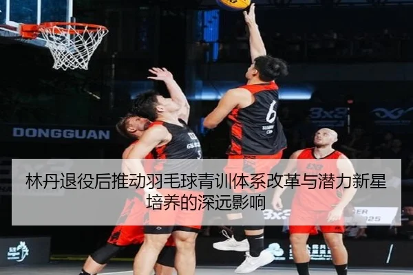 林丹退役后推动羽毛球青训体系改革与潜力新星培养的深远影响（WENDING ENTERTAINMENT）